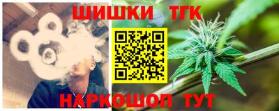 гашик Будённовск