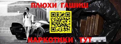 гашик Будённовск
