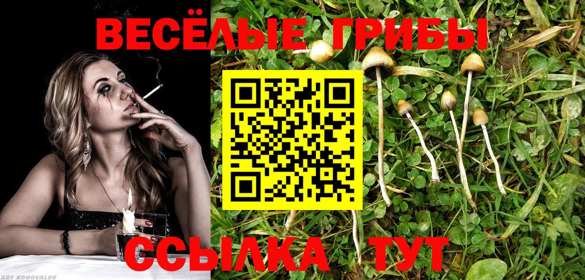 Ростов-на-Дону  Псилоцибиновые грибы мухоморы  наркота  Галлюциногенные грибы Magic Shrooms  Вход с VPN 
